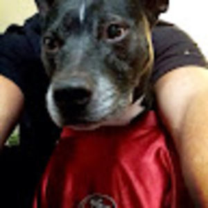 Meet your Posher, Aj